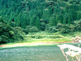 Foto, materieel, vrij, landschap, schilderstuk, bevoorraden foto,Otama-wales-ike, Hakone, Waterplas, , 