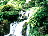 foto,tela,gratis,paisaje,fotografa,idea,Pequea cascada, Hakone, Himenosawa, Cascada, 