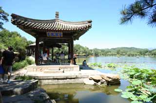 Foto, materieel, vrij, landschap, schilderstuk, bevoorraden foto,Summering berg cottage Fangzhoupavilion, Brug, Lotus, Boot, Ch'ing