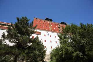 foto,tela,gratis,paisaje,fotografa,idea,Putuo Zongcheng templo, Tibet, Chaitya, Soy magnfico, Rojo y blanco