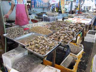 photo,material,free,landscape,picture,stock photo,Creative Commons,An eastern edge market, shop, market, fish shop, It is lively