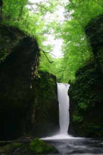 Foto, materieel, vrij, landschap, schilderstuk, bevoorraden foto,Ryugaeshi waterfall, Waterval, Rivier, Inschrijving groen, 