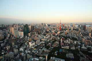 Foto, materieel, vrij, landschap, schilderstuk, bevoorraden foto,Schemering van Tokio, Tokio Toren, Gebouw groep, De benedenstad wijk, Hoogbouw