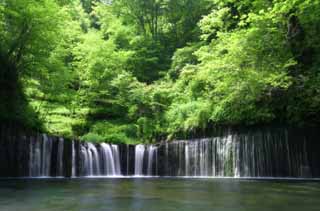 Foto, materiell, befreit, Landschaft, Bild, hat Foto auf Lager,Shiraito-kein-taki, Wasserfall, Strom, zartes Grn, Fluss