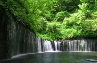 Foto, materiell, befreit, Landschaft, Bild, hat Foto auf Lager,Shiraito-kein-taki, Wasserfall, Strom, zartes Grn, Fluss