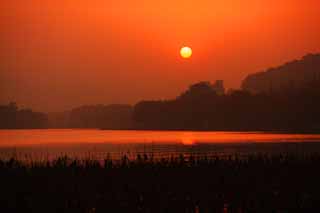 Foto, materiell, befreit, Landschaft, Bild, hat Foto auf Lager,Dmmerung des Xi-hu-Sees, Lotosblume, Die Sonne, Das Setzen von Sonne, Die Oberflche des Wassers
