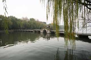 fotografia, material, livra, ajardine, imagine, proveja fotografia,Xi-hu lago, ponte, Saiko, salgueiro, 