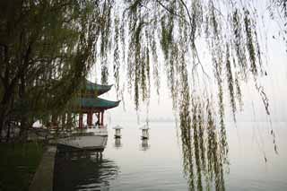 photo,material,free,landscape,picture,stock photo,Creative Commons,Xi-hu lake, surface of a lake, Saiko, willow, 