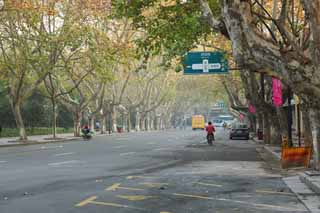photo,material,free,landscape,picture,stock photo,Creative Commons,Row of houses along a city street of Hangzhou, plane tree, road, car, street