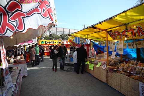 fotografia, material, livra, ajardine, imagine, proveja fotografia,Kawasakidaishi, A visita de Ano novo para um santurio de Xintosmo, bife, Fruta seca, posto