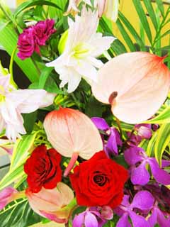 photo,material,free,landscape,picture,stock photo,Creative Commons,Flower arrangement, rose, bouquet, , 