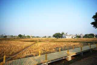 photo,material,free,landscape,picture,stock photo,Creative Commons,Zi Li Cun, rice field, farm village, lofty building, 