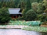 Foto, materieel, vrij, landschap, schilderstuk, bevoorraden foto,Waterplas in Kyoto, Waterplas, Kyoto, , 