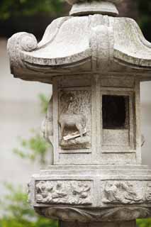 fotografia, materiale, libero il panorama, dipinga, fotografia di scorta,Guang Xiao cesto di lanterna di pietra di tempio, Chaitya, Castello della pecora dell'inesistenza, ultimo Takashi Arimitsu, , 