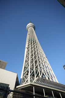 photo,material,free,landscape,picture,stock photo,Creative Commons,Look up at the sky tree, An electric wave tower, sightseeing spot, tower, blue sky