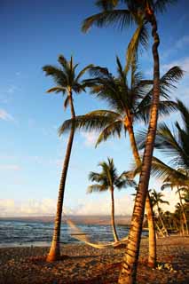 Foto, materiell, befreit, Landschaft, Bild, hat Foto auf Lager,Hngematte Hawaii Insel, , , , 