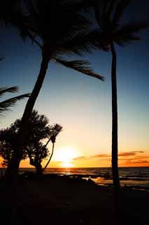 fotografia, materiale, libero il panorama, dipinga, fotografia di scorta,Hawaii spiaggia dell'isola, , , , 