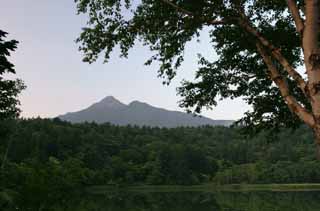 fotografia, materiale, libero il panorama, dipinga, fotografia di scorta,Mt. Rishiri-fuji, albero, montagna, cielo, HimenumPond