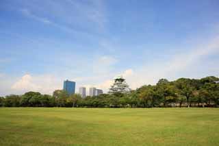 Foto, materieel, vrij, landschap, schilderstuk, bevoorraden foto,Osaka Castle Nishinomaru tuin, , , , 