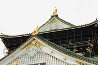 foto,tela,gratis,paisaje,fotografa,idea,Torre de Castillo de Osaka, , , , 