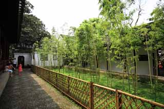 fotografia, material, livra, ajardine, imagine, proveja fotografia,Persistente Jardim floresta de bambu, , , , 
