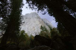 fotografia, materiale, libero il panorama, dipinga, fotografia di scorta,Cliff, rupe, pietra, Granito, grande albero
