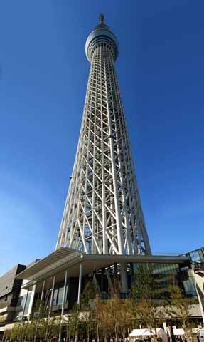 photo,material,free,landscape,picture,stock photo,Creative Commons,A panoramic view of the sky tree, , , , 