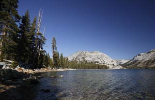 photo,material,free,landscape,picture,stock photo,Creative Commons,Tenaya lake that becomes it quietly, pond, lake, Cold water, The forest