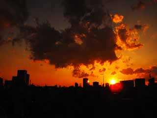 photo, la matire, libre, amnage, dcrivez, photo de la rserve,Tokyo Sunset, , , , 