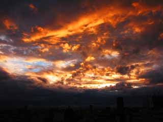 Foto, materieel, vrij, landschap, schilderstuk, bevoorraden foto,Tokyo Zonsondergang, , , , 