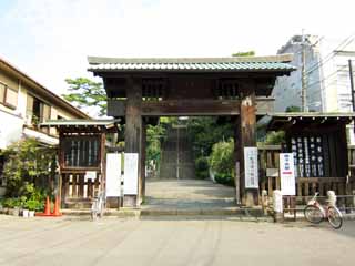 Foto, materiell, befreit, Landschaft, Bild, hat Foto auf Lager,Ikegami Honmonji Tempel, , , , 