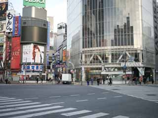 foto,tela,gratis,paisaje,fotografa,idea,Shibuya, , , , 