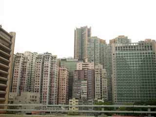 fotografia, material, livra, ajardine, imagine, proveja fotografia,Hong Kong, , , , 