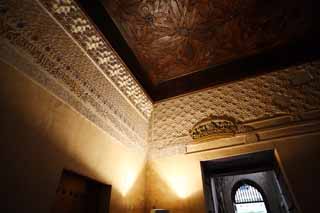 fotografia, material, livra, ajardine, imagine, proveja fotografia,Enquanto o Palcio de Alhambra fmea earl, , , , 