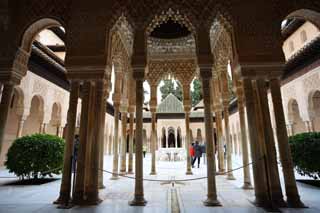foto,tela,gratis,paisaje,fotografa,idea,Palacio de la Alhambra patio de Len, , , , 