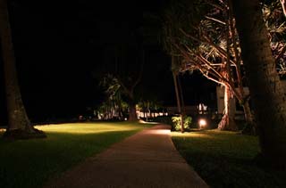 photo,material,free,landscape,picture,stock photo,Creative Commons,A narrow path of a resort, It is lighted up, southern country, lawn, tree