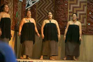 fotografia, materiale, libero il panorama, dipinga, fotografia di scorta,Maori, , , , 