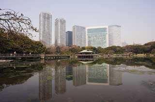 photo,material,free,landscape,picture,stock photo,Creative Commons,A group of Shiodome Building and a pond of damage by sea water, pond, building, I am Japanese-style, 