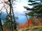 fotografia, materiale, libero il panorama, dipinga, fotografia di scorta,Chuzenji Lake ed alberi di autunno, , , , 