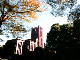 fotografia, material, livra, ajardine, imagine, proveja fotografia,Auditrio de Yasuda em outono, cu, Universidade de Tquio, , 