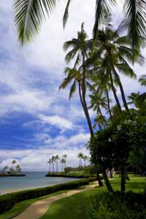 fotografia, materiale, libero il panorama, dipinga, fotografia di scorta,Un ricorso hawaiano, spiaggia, spiaggia sabbiosa, cielo blu, Lasi