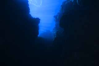 foto,tela,gratis,paisaje,fotografa,idea,Un desfiladero submarino, Roca, Luz del sol, Color azul, Fotografa submarina