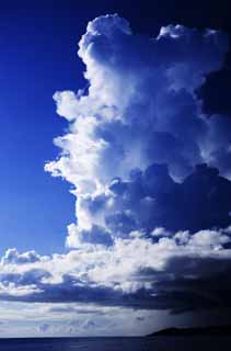fotografia, material, livra, ajardine, imagine, proveja fotografia,Em uma nuvem de trovo, crescimento, nuvem, aranha, nuvem de trovo, cu azul