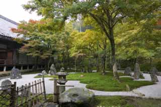 fotografia, material, livra, ajardine, imagine, proveja fotografia,Um jardim de um templo claro que pertence  seita de Zen, Musgo, apedreje cesta de lanterna, pedra, Folhas coloridas