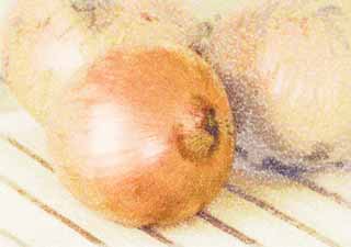 illustration,material,free,landscape,picture,painting,color pencil,crayon,drawing,An onion, onion, , , ball leek