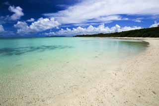 foto,tela,gratis,paisaje,fotografa,idea,Una playa provinciana del sur, Playa arenosa, Cielo azul, Playa, Nube
