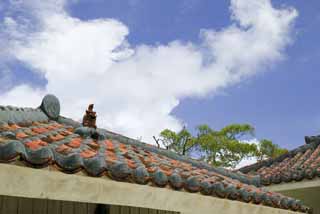 fotografia, material, livra, ajardine, imagine, proveja fotografia,Mar Senhor latir, SeSir, charme de sorte bom, Okinawa, telhado