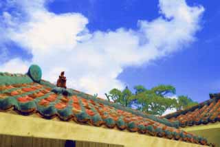 illust, material, livram, paisagem, quadro, pintura, lpis de cor, creiom, puxando,Mar Senhor latir, SeSir, charme de sorte bom, Okinawa, telhado