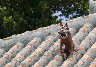 photo,material,free,landscape,picture,stock photo,Creative Commons,Sea Sir to bark, SeSir, good luck charm, Okinawa, roof