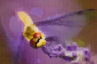Illust, materieel, vrij, landschap, schilderstuk, schilderstuk, kleuren potlood, crayon, werkje,Het is een libelle naar een lavendelblauw, Libelle, , , Veren